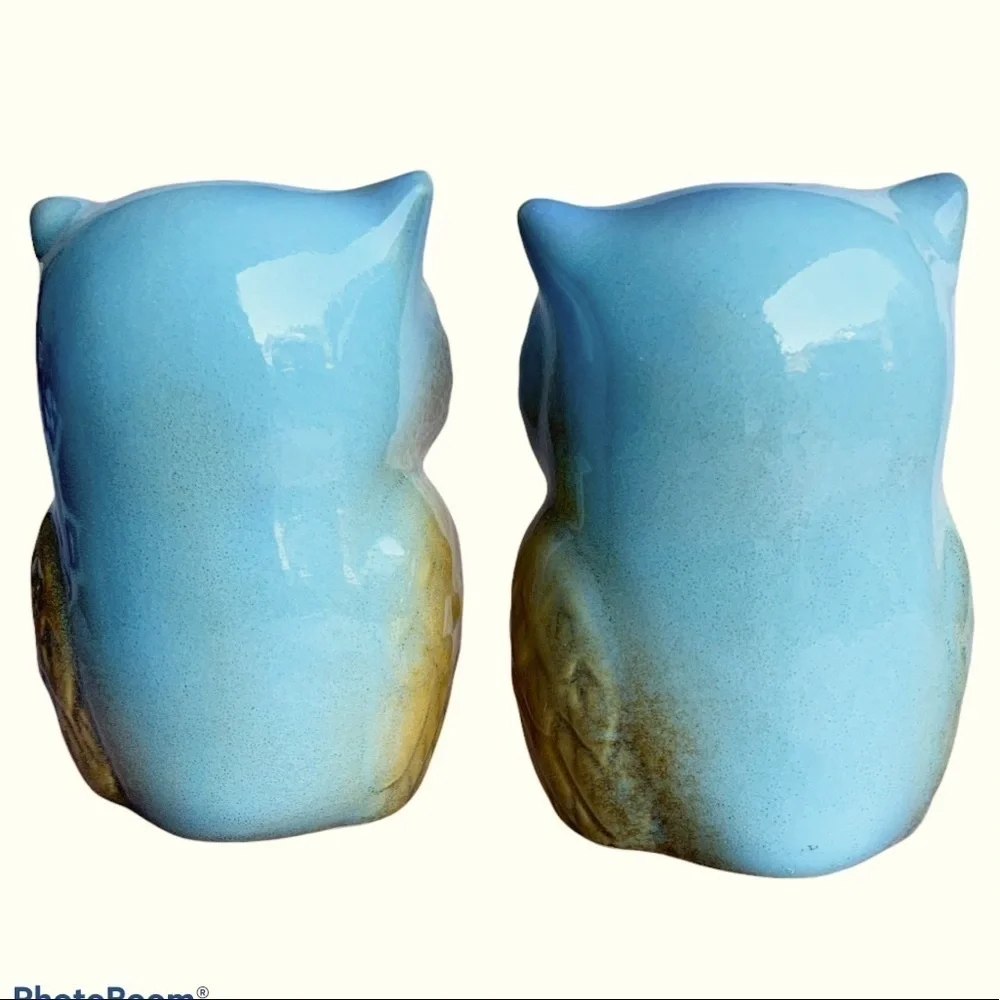 Owl Salt and Pepper Shaker Set Glazed Ceramic Hand Painted Owl Decor 2 Piece Set